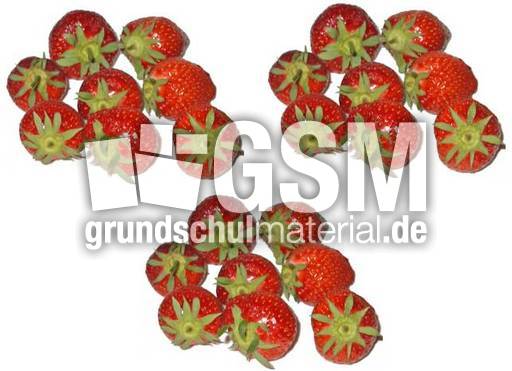 Erdbeeren-3x8.jpg
